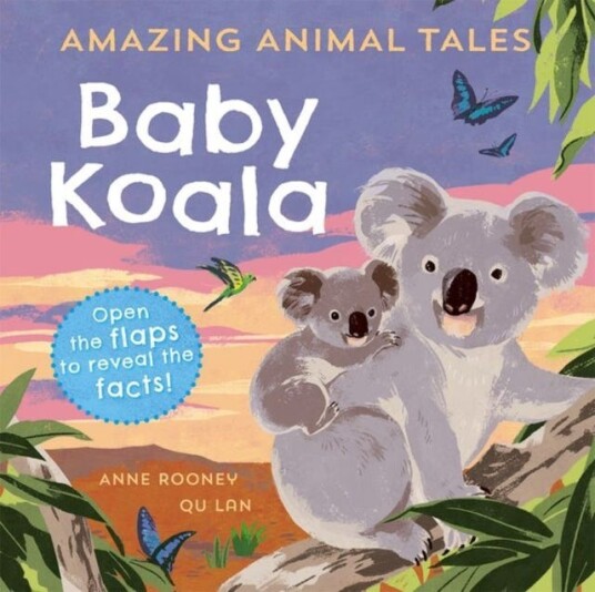 Amazing Animal Tales: Baby Koala Av Anne Rooney