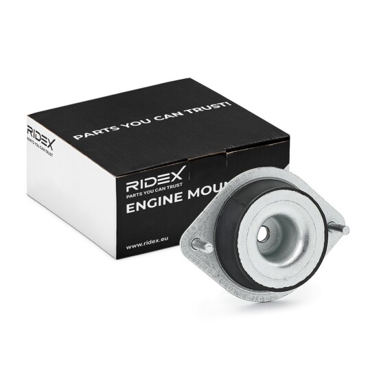 Motorfeste RIDEX 247E0725