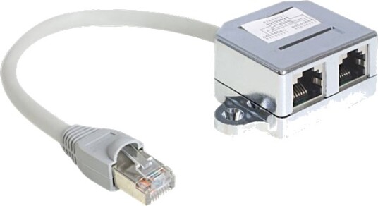 Delock Rj45 Port Doubler Ethernet 100Base-Tx-Splitter Rj-45 Hann Til Rj-45 4-Pin Hunn 15 Cm