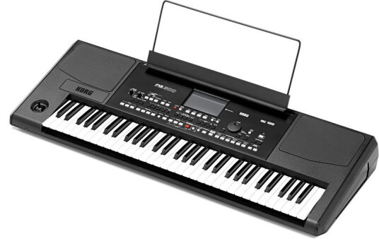 Korg Pa-300 Arranger Keyboard Korg Pa-300 Arranger Keyboard