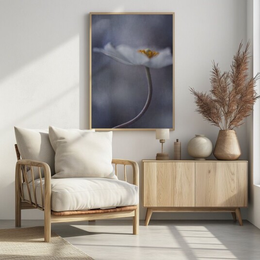 Plakat Hvit Blomst Serenity