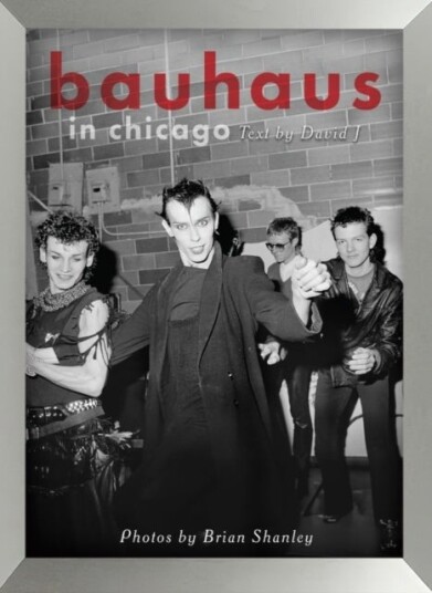 Bauhaus In Chicago