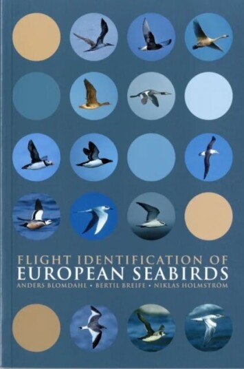 Flight Identification Of European Seabirds Av Anders Blomdahl, Bertil Breife, Niklas Holmstrom