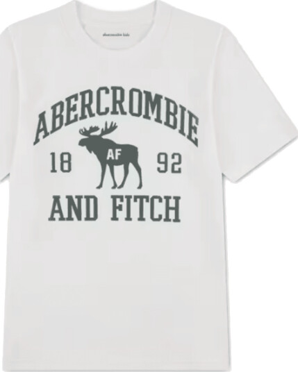 Abercrombie & Fitch Moose T skjorte jet stream (110/116) 110/116