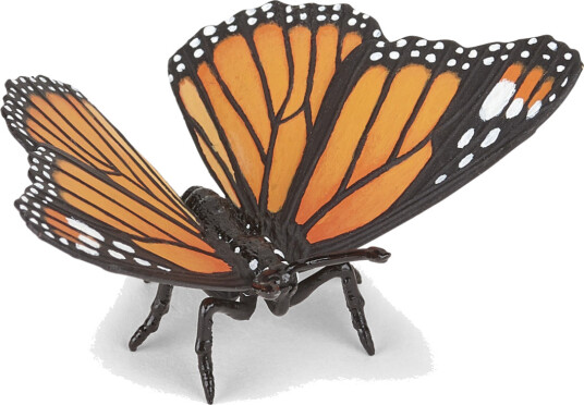 Papo Sommerfugl H: 2 cm Papo OneSize Lekedyr Oransje Papo Sommerfugl H: 2 cm Papo OneSize Lekedyr Oransje