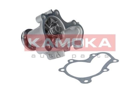 Vannpumpe KAMOKA T0208
