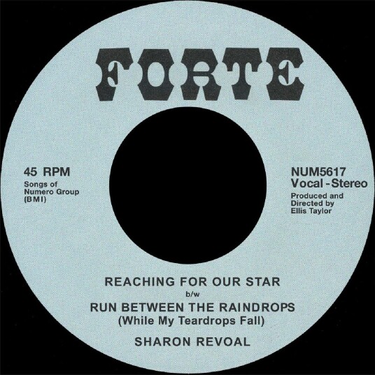 Sharon Revoal  Reaching For Our Star / Run Between The Raindrops  LP/Vinyl