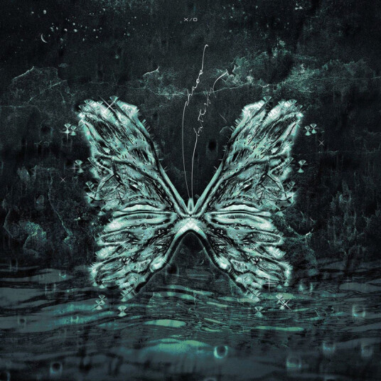 Chaos Butterfly