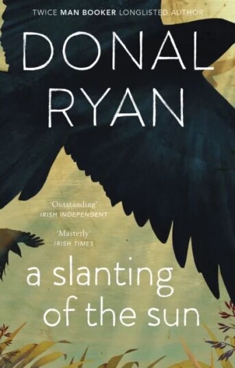 A Slanting Of The Sun: Stories Av Donal Ryan
