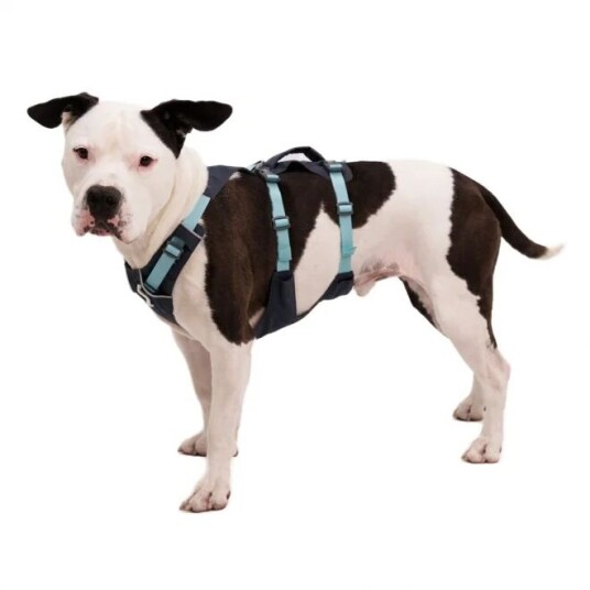 Ruffwear Flagline Hundesele Grå/Turkis (M)