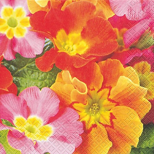 Jernia Serviett 33x33cm primula