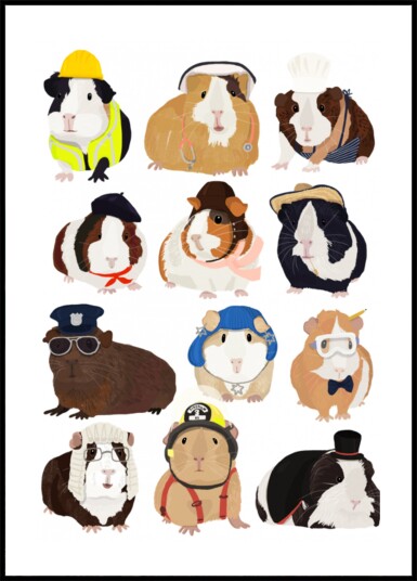 Cute Guinea Pig Careers Plakat / 40x50
