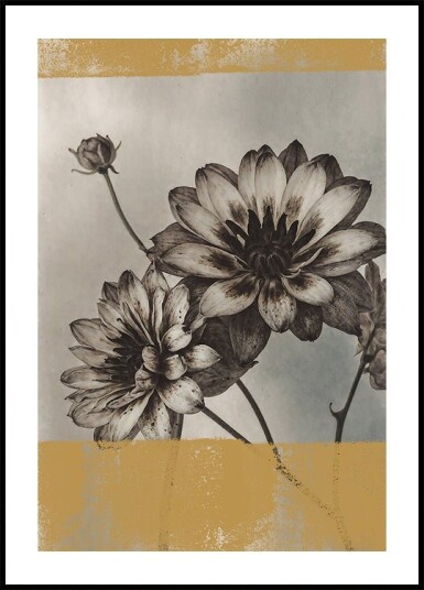 Vintage Flowers No.6 Poster Plakat / 70x100cm Vintage Flowers No.6 Poster Plakat / 70x100cm