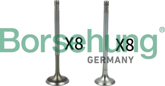 Borsehung B18630 Ventil
