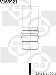 BGA V163921 Utløpsventil