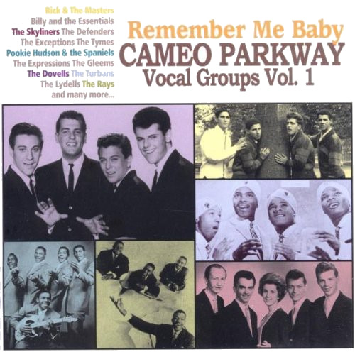 Diverse Artister Remember Me Baby: Cameo Parkway Vocal Goups 1 CD
