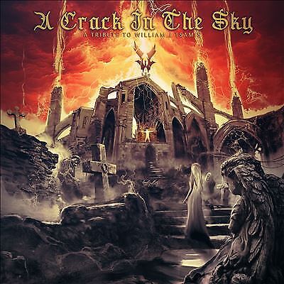 MediaTronixs Various Artists : A Crack In The Sky - A Tribute To Willia CD Pre-Owned