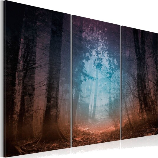 Bilde Edge Of The Forest Triptych 60x40 Artgeist sp. z o. o.