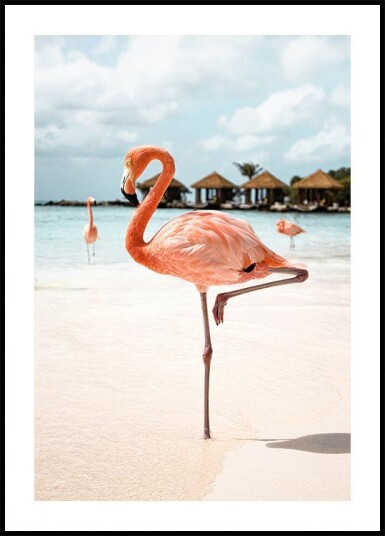 Pink Flamingo Plakat Plakat / 21x30cm