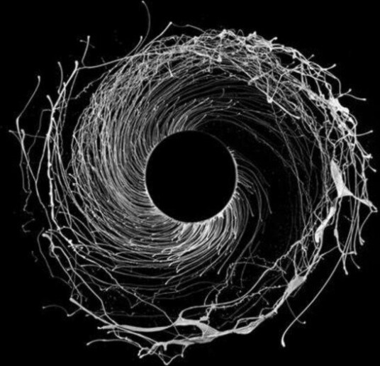 Dawn Of Midi Dysnomia Uk Vinyl