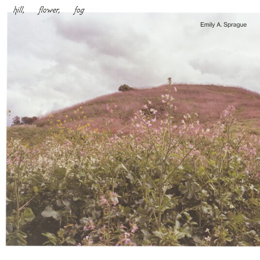 Emily A. Sprague  Hill, Flower, Fog  LP/Vinyl