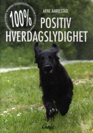 100 % positiv hverdagslydighet Innbundet Pent brukt bok