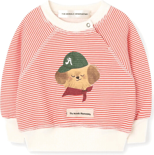 THE ANIMALS OBSERVATORY Jackal Baby Sweatshirt Red 86/92