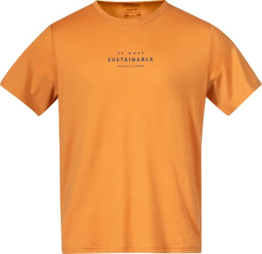 Bergans Men's Graphic Wool Tee Oransje XL Man