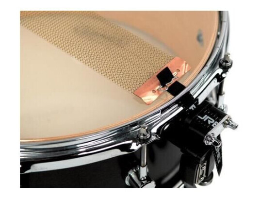 Puresound Cpb1424 14" Custom Pro Seide 24 Strands, Brass