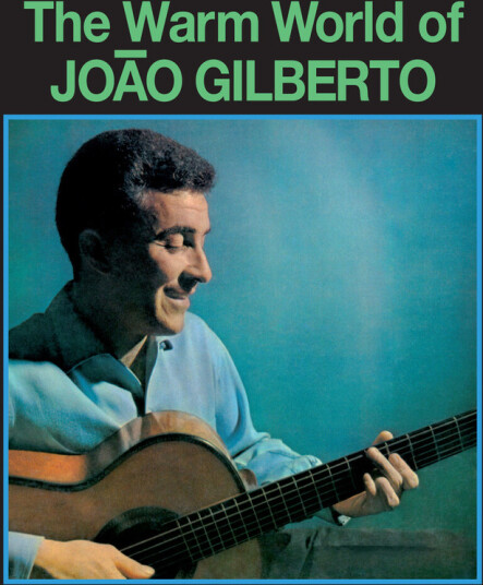 Warm World Of Joao Gilberto