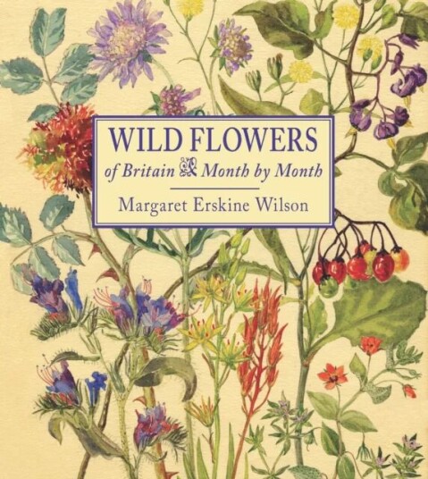Wild Flowers Of Britain Wild Flowers Of Britain