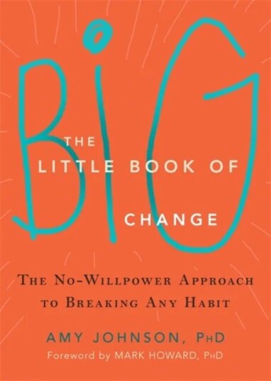 The Little Book Of Big Change Av Amy Johnson