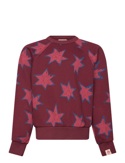 THE ANIMALS OBSERVATORY Stars Shark Sweatshirt - Burgundy - 8 Y THE ANIMALS OBSERVATORY Stars Shark Sweatshirt - Burgundy - 8 Y
