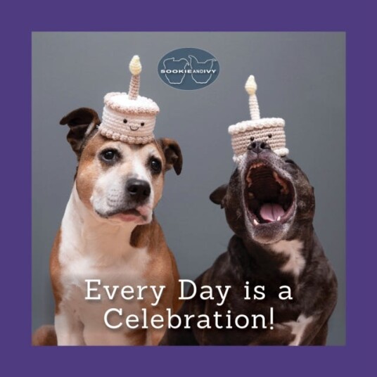 Sookie and Ivy Every Day Is a Celebration Sookie and Ivy Every Day Is a Celebration