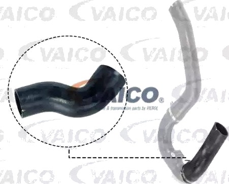VAICO V24 0711 Ladeluftslange