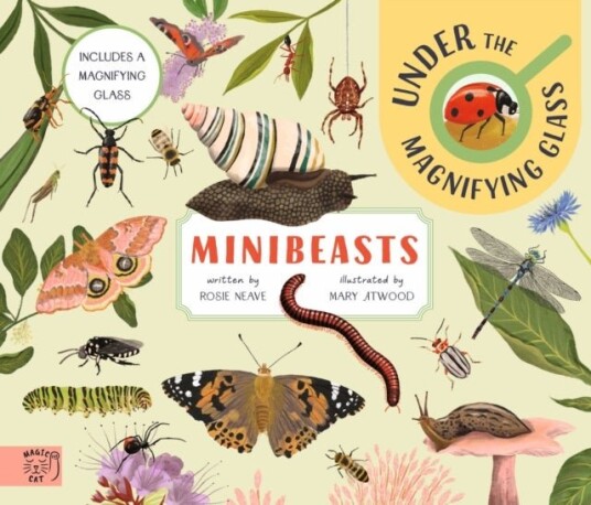 Minibeasts: Under the Magnifying Glass Minibeasts: Under the Magnifying Glass