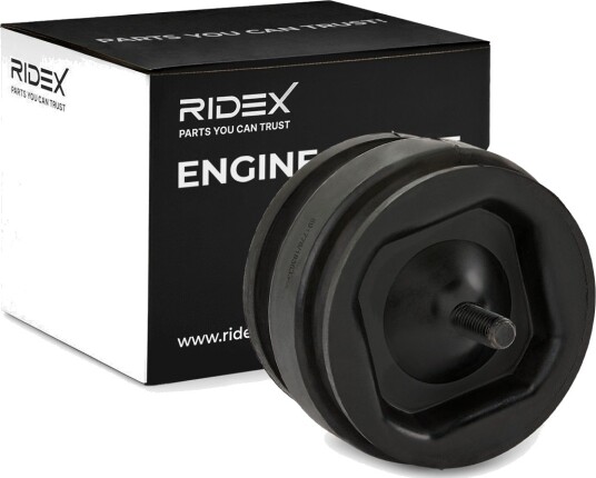 RIDEX 247E1012 Motorfeste