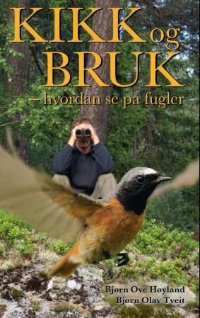 Kikk Og Bruk Av Bjørn Ove Høyland, Bjørn Olav Tveit