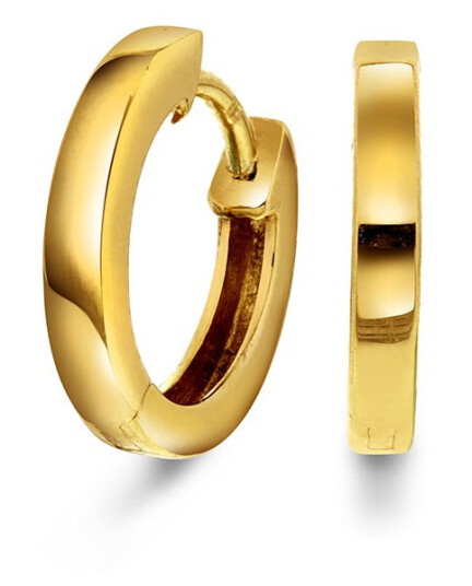 Pan Jewelry Øreringer i 585 gult gull