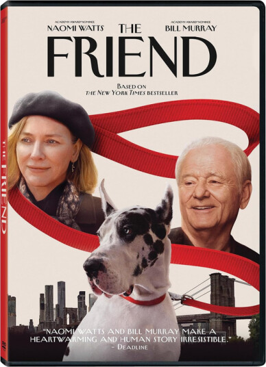 The Friend 2024 DVD