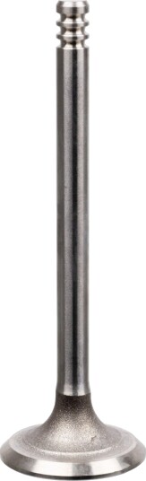 Innløpsventil FEBI BILSTEIN 21234