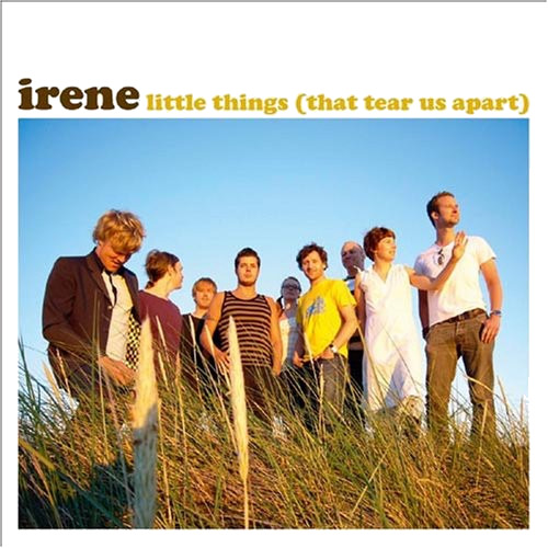 Irene Little Things That Tear Us Apart CD