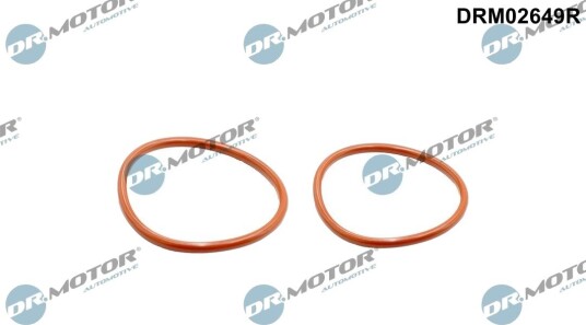 Tetningsring, laseluftslange DR.MOTOR AUTOMOTIVE DRM02649R