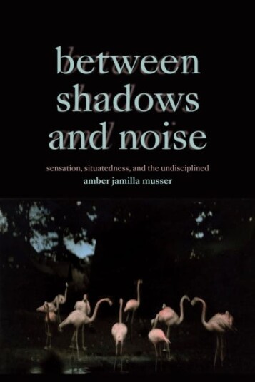 Between Shadows and Noise Sensation, Situatedness, and the Undisciplined