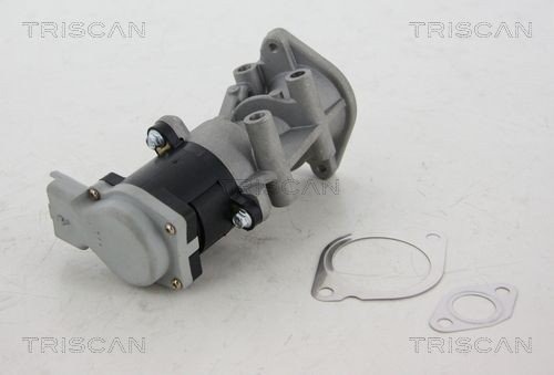 EGR ventil TRISCAN 8813 17008