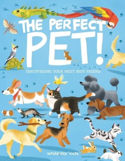 The Perfect Pet! The Perfect Pet!