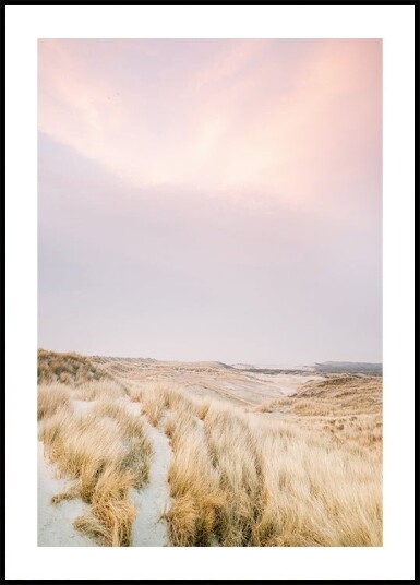 Ameland Dunes 1 Plakat Plakat / 40x50cm