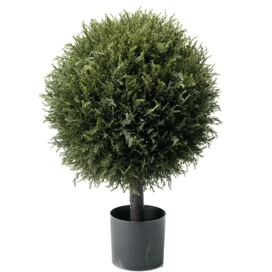 Mr Plant Gran Tre 55 cm Mr Plant Gran Tre 55 cm