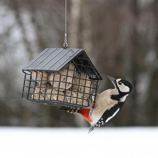Wildlife Garden Fuglemater Gitter Svart Wildlife Garden Fuglemater Gitter Svart