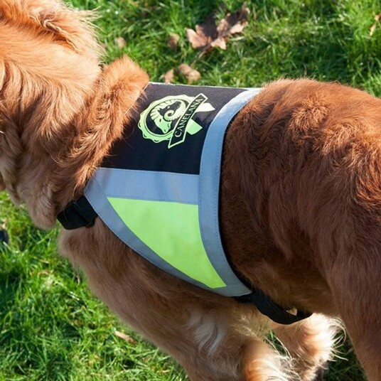 Canelana Refleksdekken Medium - Gul hundeklær for sikkerhet